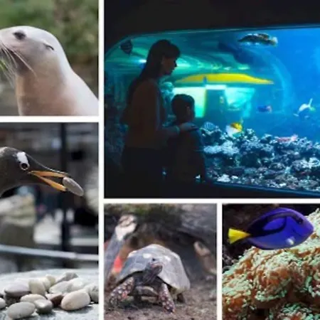 Villa Bergen. Historic Luxury Near The Centre