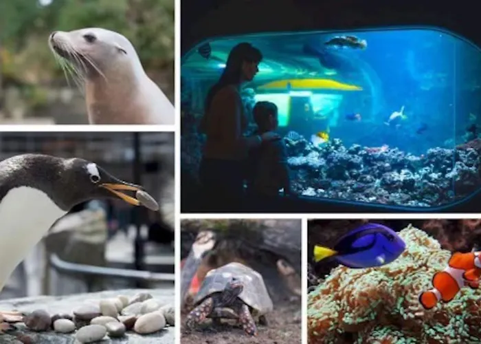 Βίλα Bergen. Historic Luxury Near The Centre